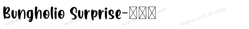 Bungholio Surprise字体转换